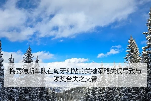 mei-sai-de-si-che-dui-zai-xiong-ya-li-zhan-de-guan-jian-ce-lve-shi-wu-dao-zhi-yu-ling-jiang-tai-shi-zhi-jiao-bi-2-127.jpg