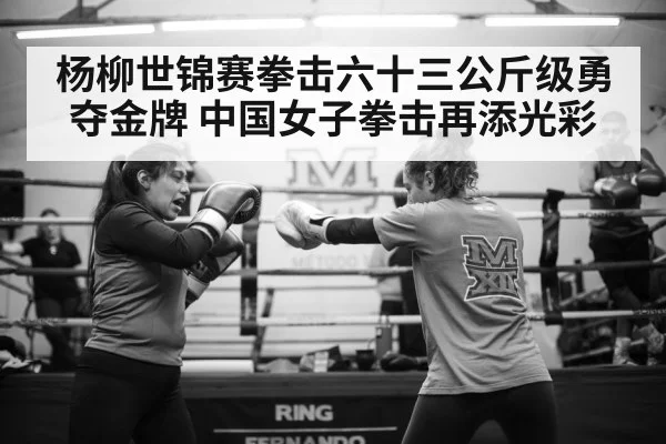 杨柳世锦赛拳击六十三公斤级勇夺金牌 中国女子拳击再添光彩
